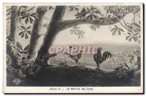 Cartes postales Theatre Edmond Rostand Chantecler Le matin du coq