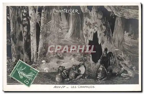 Cartes postales Theatre Edmond Rostand Chantecler Les crapauds Grenouille