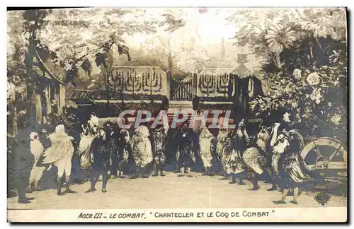 Cartes postales Theatre Edmond Rostand Chantecler et le coq de combat