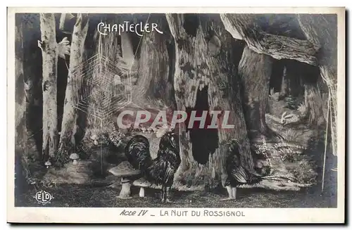 Cartes postales Theatre Edmond Rostand Chantecler La nuit du Rossignol Champignon