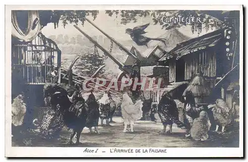 Cartes postales Theatre Edmond Rostand Chantecler L&#39arrivee de la faisane