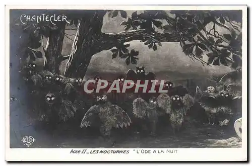 Cartes postales Theatre Edmond Rostand Chantecler L&#39ode a la nuit Chouette Hibou