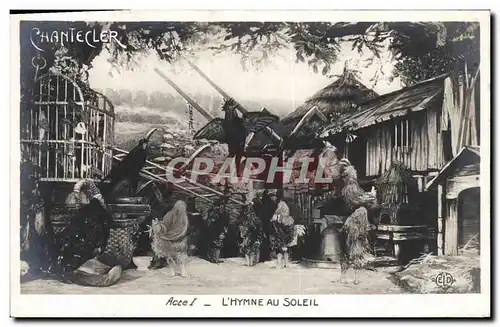 Cartes postales Theatre Edmond Rostand Chantecler L&#39hymne au soleil