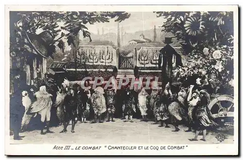 Cartes postales Theatre Edmond Rostand Chantecler et le coq de combat