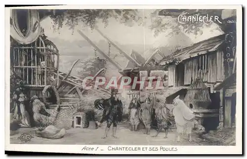 Cartes postales Theatre Edmond Rostand Chantecler et ses poules
