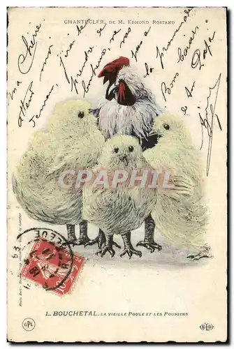 Ansichtskarte AK Theatre Edmond Rostand Chantecler L Bouhcetal La vieille poule et les poussins