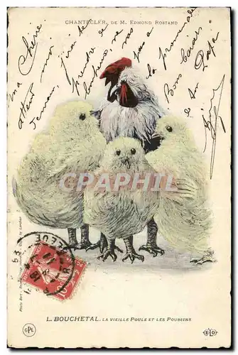 Cartes postales Theatre Edmond Rostand Chantecler L Bouhcetal La vieille poule et les poussins