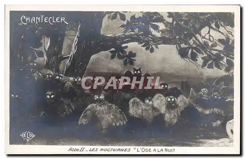 Cartes postales Theatre Edmond Rostand Chantecler L&#39ode a la nuit Chouette Hibou