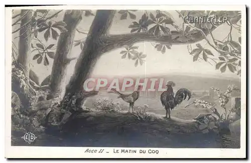 Cartes postales Theatre Edmond Rostand Chantecler Le matin du coq