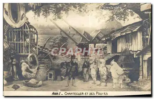 Cartes postales Theatre Edmond Rostand Chantecler et ses poules