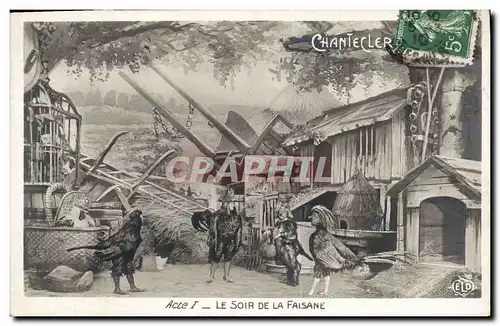 Cartes postales Theatre Edmond Rostand Chantecler Le soir de la faisane