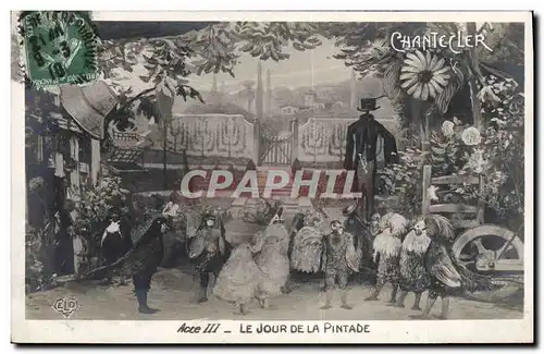 Ansichtskarte AK Theatre Edmond Rostand Chantecler Le jour de la pintade