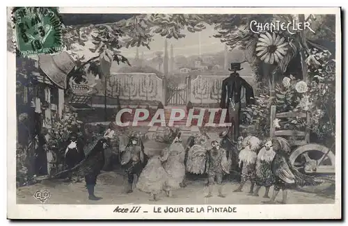 Cartes postales Theatre Edmond Rostand Chantecler Le jour de la pintade