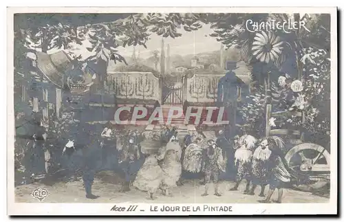 Cartes postales Theatre Edmond Rostand Chantecler Le jour de la pintade