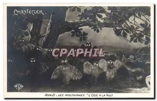 Cartes postales Theatre Edmond Rostand Chantecler L&#39ode a la nuit Chouette Hibou
