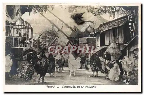 Cartes postales Theatre Edmond Rostand Chantecler L&#39arrivee de la faisane