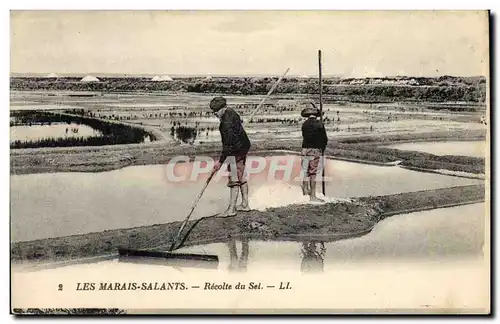 Cartes postales Folklore Marais salants Recolte de sel