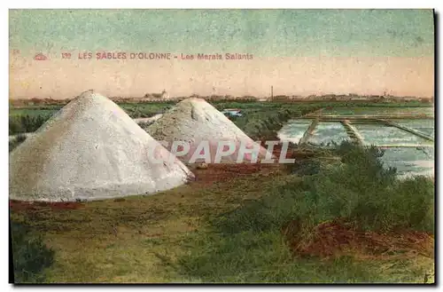 Ansichtskarte AK Folklore Marais salants Les Sables d&#39Olonne