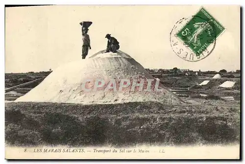 Cartes postales Folklore Marais salants Transport du sel sur le Mulon