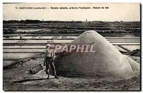 Cartes postales Folklore Marais salants Guerande pres du Pouliguen Mulon du sel