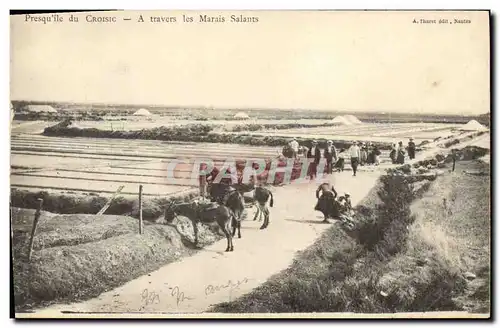 Ansichtskarte AK Folklore Marais salants Presqu&#39ile du Croisic Ane Mule