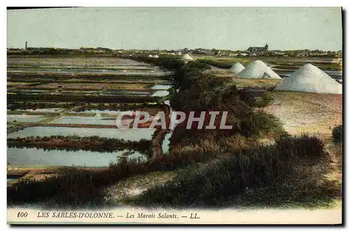 Ansichtskarte AK Folklore Marais salants Les Sables d&#39Olonne