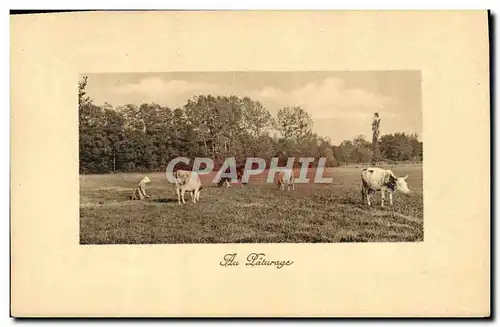 Ansichtskarte AK Vache Vaches Au paturage