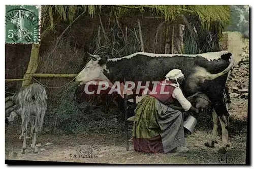 Ansichtskarte AK Vache Vaches A l&#39etable