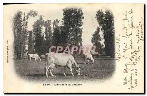 Cartes postales Vache Vaches de la prairie