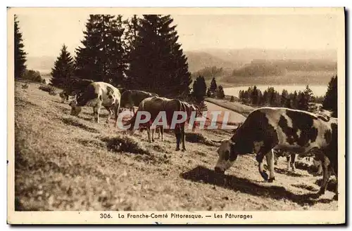 Ansichtskarte AK Vache Vaches Franche Comte Les paturages