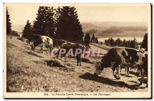 Cartes postales Vache Vaches Franche Comte Les paturages