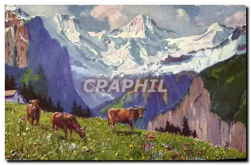 Cartes postales Vache Vaches Paolo Kutscha La Suisse