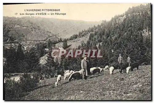 Ansichtskarte AK Vache Vaches Les gorges d&#39Aveze Un paturage
