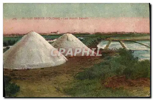 Cartes postales Folklore Marais Salants Les Sables d&#39Olonne