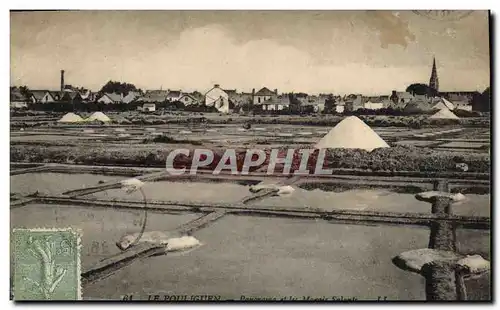 Cartes postales Folklore Marais Salants Le Pouliguen Panorama