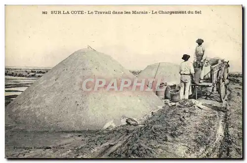 Cartes postales Folklore Marais Salants Sur la Cote Le travail dans les marais Le chargement du sel