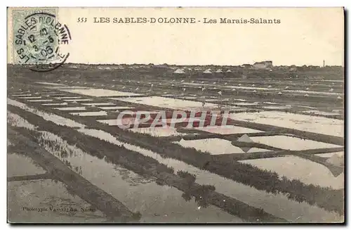 Cartes postales Folklore Marais Salants Les Sables d&#39Olonne