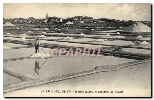 Cartes postales Folklore Marais Salants et paludiers au travail Le Pouliguen