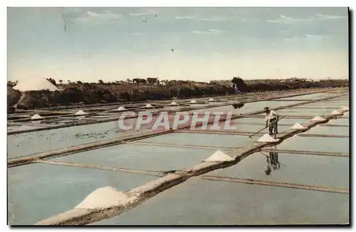 Cartes postales Folklore Marais Salants Ile de Noirnmoutier