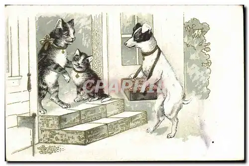 Cartes postales Chat Chaton Chats Chien