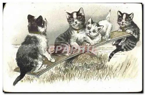 Cartes postales Chat Chaton Chats