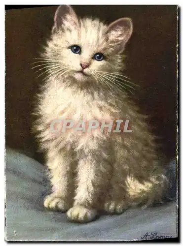 Cartes postales Chat Chaton Chats