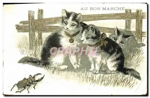 Cartes postales Chat Chaton Chats Insecte Au Bon Marche Maison Boucicaut Paris