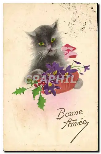 Cartes postales Chat Chaton Chats