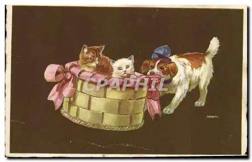 Cartes postales Chat Chaton Chats Chine