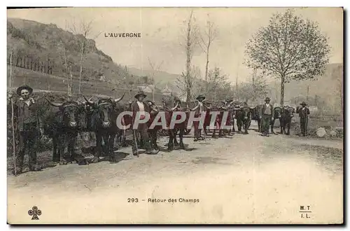 Ansichtskarte AK Folklore Auvergne Retour des champs Vaches