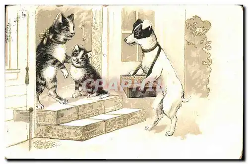 Cartes postales Chat Chats Chaton Chien