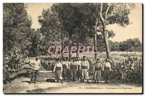 Cartes postales Militaria Orleansville Tirailleurs a la Pepiniere