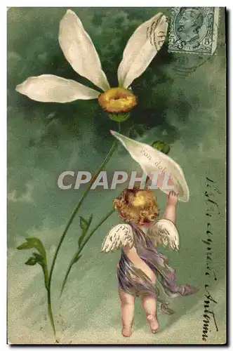 Cartes postales Ange Fleur Con dolore