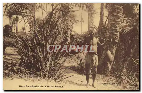 Ansichtskarte AK Negre Homme noir La recolte du vin de palme